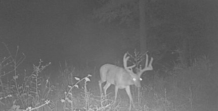 Farm Property for sale in Carroll County, Mississippi