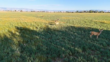 Property for sale in Carbon County, Utah