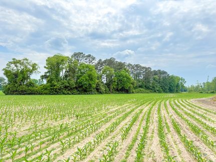 Property for sale in Marlboro County, South Carolina