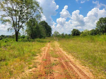 Property for sale in Clay County, Georgia