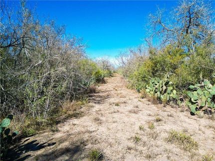Undeveloped Land for sale in Live Oak County, Texas