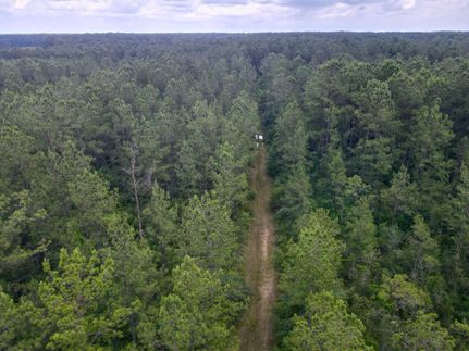 Property for sale in Pearl River County, Mississippi