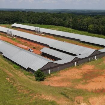 Property for sale in Henry County, Alabama