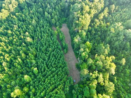 Property for sale in Copiah County, Mississippi