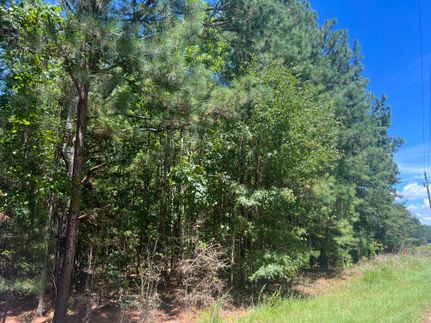 Undeveloped Land for sale in Anderson County, South Carolina