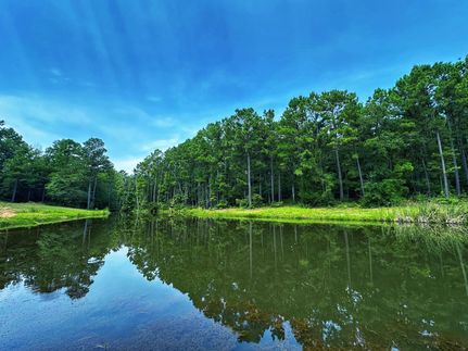 Property for sale in Leon County, Texas