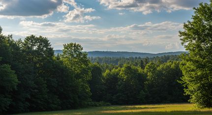 Residential Property for sale in Limestone County, Texas