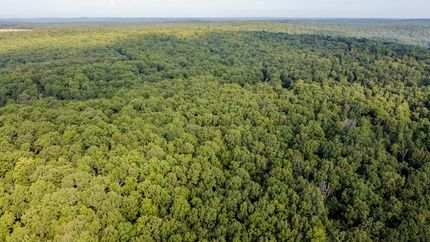 Property for sale in Randolph County, Arkansas