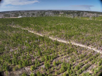 Property in Laurens County, Georgia