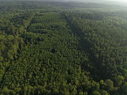 Property for sale in Noxubee County, Mississippi