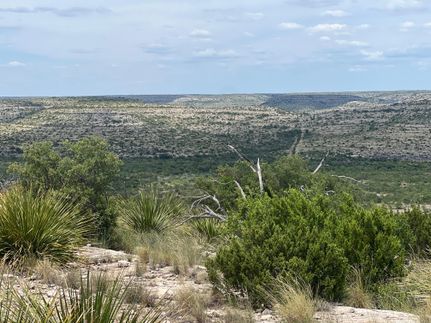 Property in Crockett County, Texas