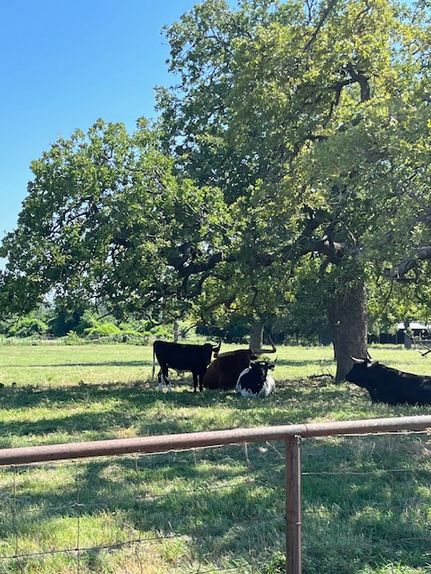 Property for sale in Wise County, Texas