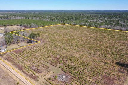Undeveloped Land for sale in Dallas County, Arkansas
