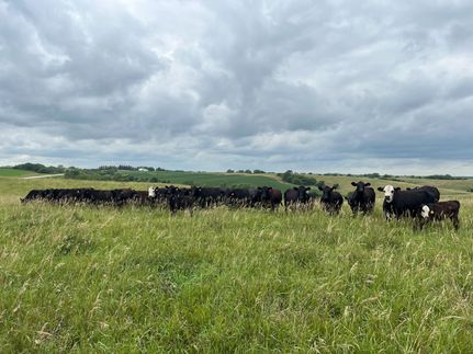 Property for sale in Adair County, Iowa