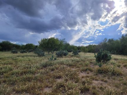Property for sale in Zapata County, Texas