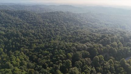 Property for sale in Jackson County, Indiana