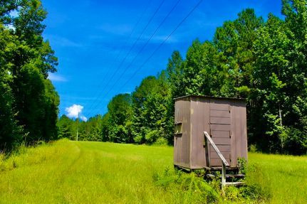 Property for sale in Marion County, Mississippi