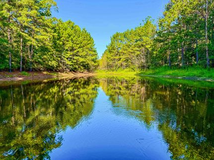 Property for sale in Tyler County, Texas