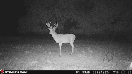 Ranch Property for sale in Kingman County, Kansas