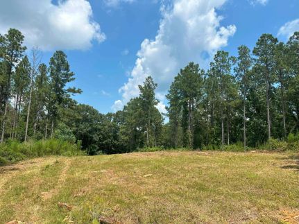 Recreational Property for sale in Elbert County, Georgia