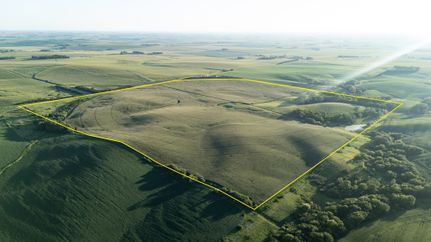 Hunting Land for sale in Dixon County, Nebraska