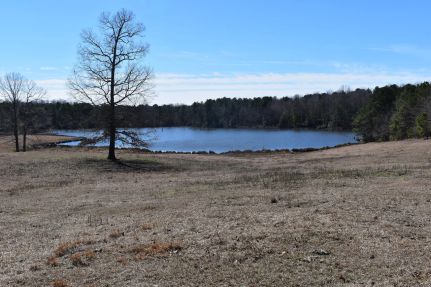 Undeveloped Land for sale in Saline County, Arkansas