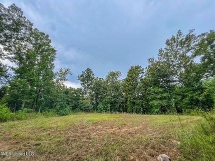 Undeveloped Land for sale in Hinds County, Mississippi