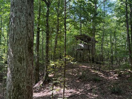 Property for sale in Hardeman County, Tennessee