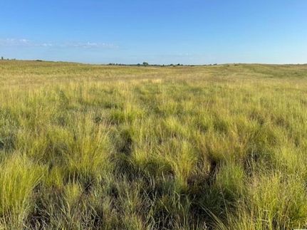 Undeveloped Land for sale in Woodward County, Oklahoma