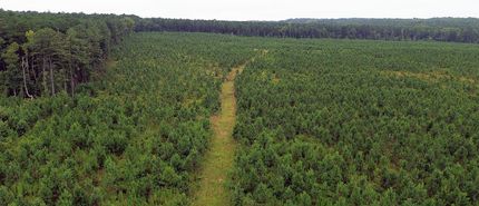 Property for sale in Amelia County, Virginia