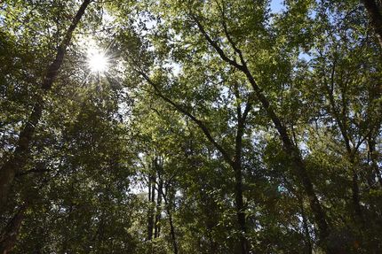 Property for sale in Putnam County, Florida