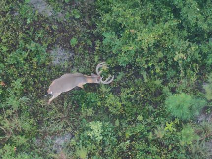 Property for sale in Wilkinson County, Georgia