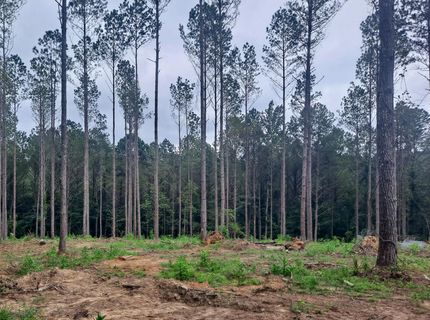 Property in Walker County, Alabama