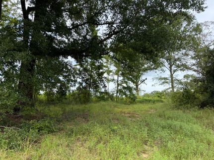 Property for sale in Dale County, Alabama