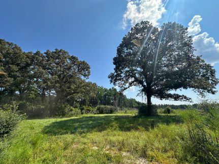 Property for sale in Escambia County, Alabama