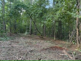 Residential Property for sale in Pike County, Alabama