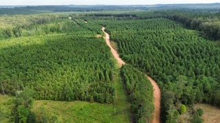 Property in Lamar County, Alabama