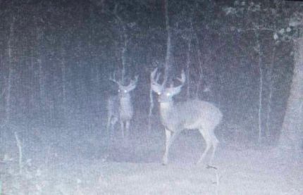 Recreational Property for sale in Shannon County, Missouri