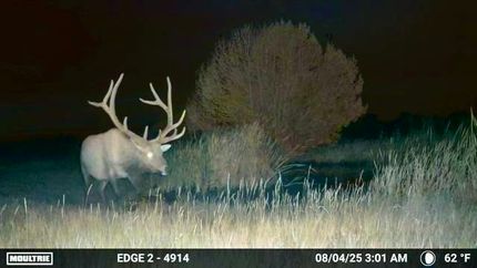 Property for sale in Las Animas County, Colorado