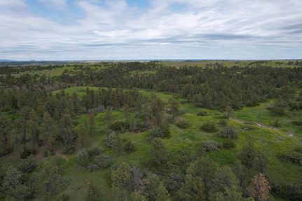 Undeveloped Land for sale in Fergus County, Montana