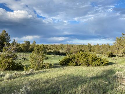 Undeveloped Land for sale in Fergus County, Montana