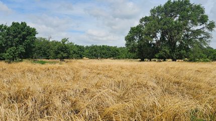 Property in Reno County, Kansas