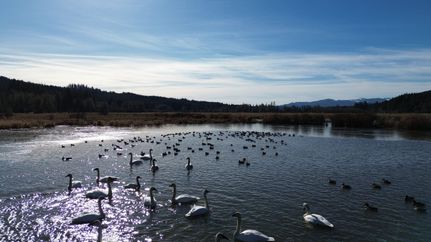 Property for sale in Lewis County, Washington