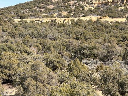 Undeveloped Land for sale in San Juan County, New Mexico