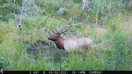 Property for sale in Larimer County, Colorado