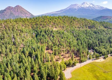 Timberland Property for sale in Siskiyou County, California
