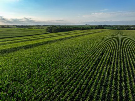 Undeveloped Land for sale in Cass County, Nebraska