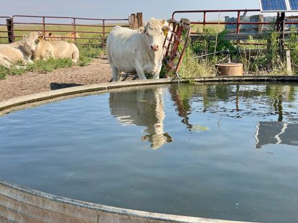 Property in El Paso County, Colorado