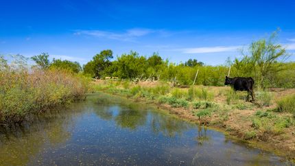 Farm Property for sale in Atascosa County, Texas