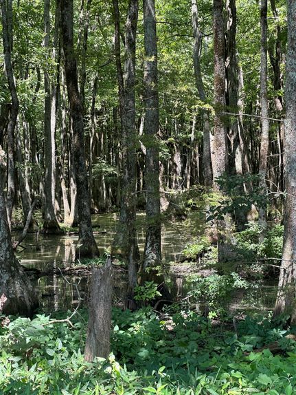 Recreational Property for sale in Leflore County, Mississippi
